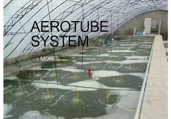 Aerotube system