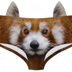 耳朵内裤野生动物红熊猫 red panda