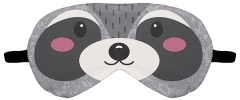 eyepatch raccoon