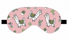 眼罩多肉盆栽背着绿色装饰的美洲驼llama