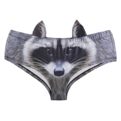 带耳朵内裤浣熊raccoon