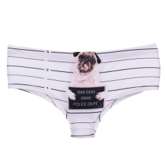 panties pug jail