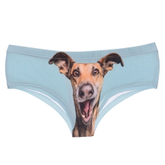 panties happy dog