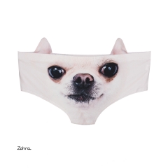 Ear panties CHIHUAHUA