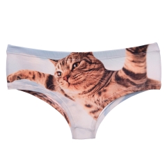 panties fly cat