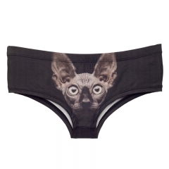 panties sphynx cat