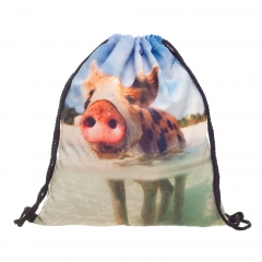 束口袋水中的猪WATER PIG