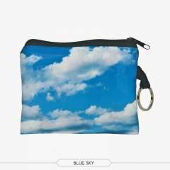 Coin wallet BLUE SKY