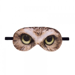 眼罩猫头鹰眼睛brown owl