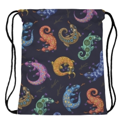 Drawstring bag salamanders