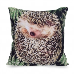 Pillow CACTUS HEDGEHOG