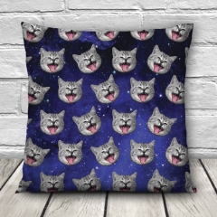 Pillow GALAXY GREY CAT