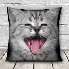 Pillow CRY CAT