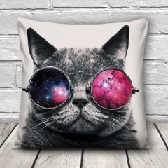 Pillow GALAXY SUNGLASSES CAT