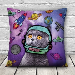 Pillow SPACE CAT