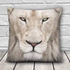 Pillow LIGHT LION