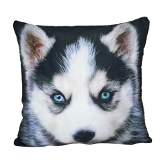 Pillow husky