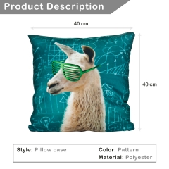 Pillow math lama