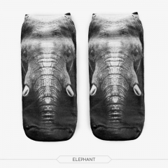 短袜大象elephant
