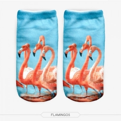 socks flamingo