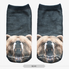 短袜咆哮熊bear
