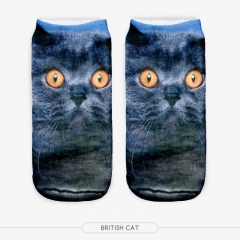 socks british cat