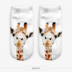 短袜长颈鹿giraffe