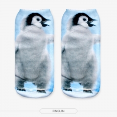 短袜企鹅宝宝baby pinguin