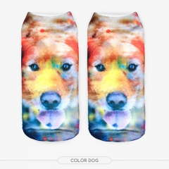 socks color dog