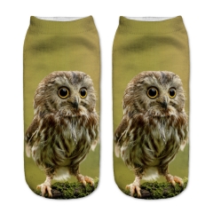 短袜绿色背景猫头鹰图案owl green