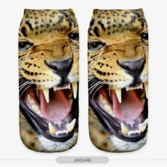 socks  leopard