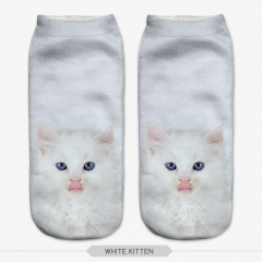 socks white kitten