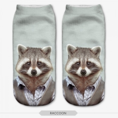 短袜穿衣服的浣熊图案raccoon