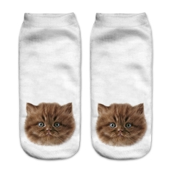 socks brown longhaired kitty head