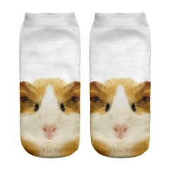 短袜白底豚鼠GUINEA PIG