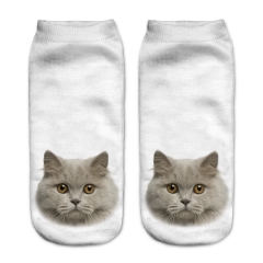 socks beige british cat head