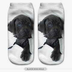 socks black dog hole