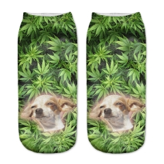socks weed dog