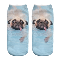 短袜小狗swimming pool pug dog