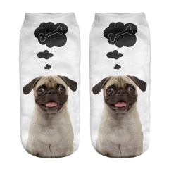 socks pug dog bone