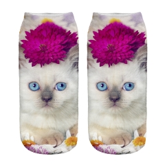 socks pink flower cat