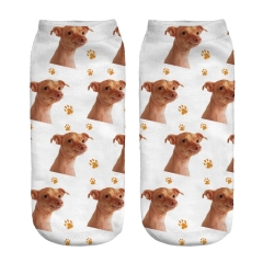 socks kofola dog