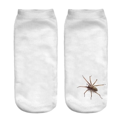 短袜白底蜘蛛 spider on sock wiz