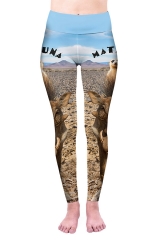 High waist leggings hakuna matata friends