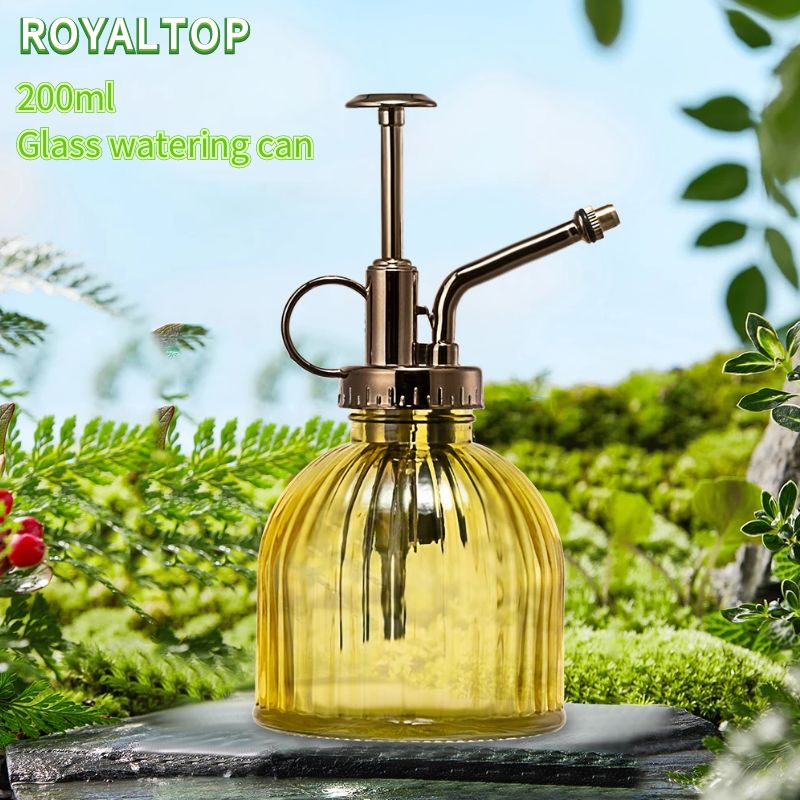 2023 Delicate houseplant glass watering can