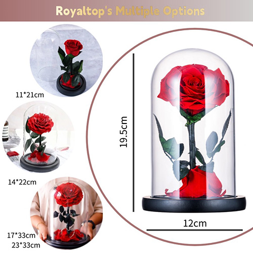 Real Preserved Roses in Glass Dome