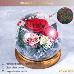 Preserved Flower Gift Box with LED Lights