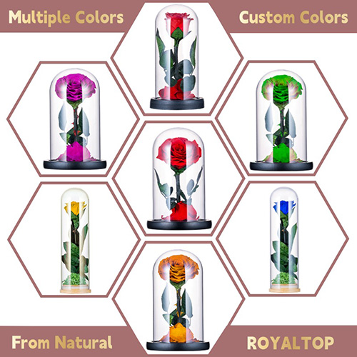 Real Preserved Roses in Glass Dome