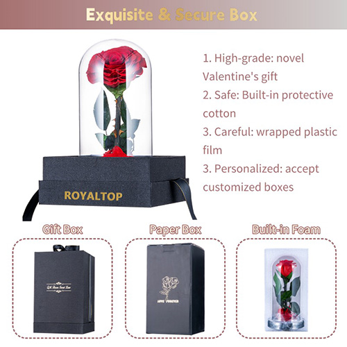 Eternal Rose Gift for Women
