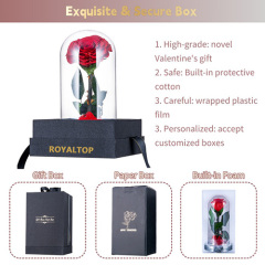 Eternal Rose Gift for Women